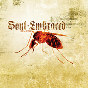 Immune To Emotion by Soul Embraced