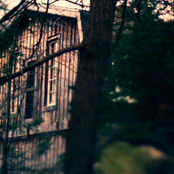 Home