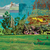 Rolanberry Fields Forever