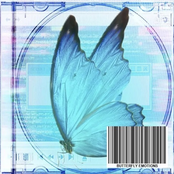 Butterfly Emotions