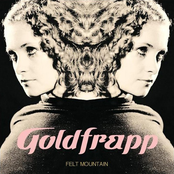 Human by Goldfrapp