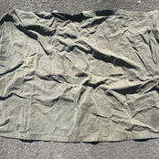 Tarp