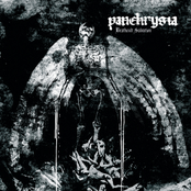 Cult Driven by Panchrysia