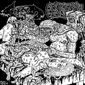Fiend: Southern as Fuck, Cunt / Engaged in Lymphophilia