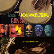 Bongomania!