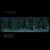 Forest Stories