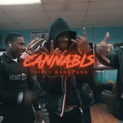 SimXSantana: Cannabis