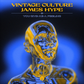 Vintage Culture: You Give Me A Feeling