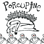 The Damage Today by Porcupine