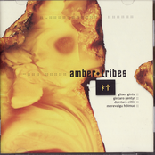 Amber tribes