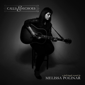 Melissa Polinar: Calls & Echoes