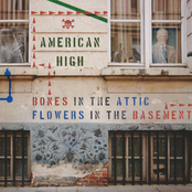American High: Bones in the Attic, Flowers in the Basement