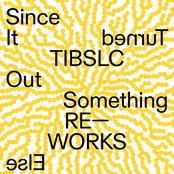 TIBSLC Re-Works of Since It Turned Out Something Else