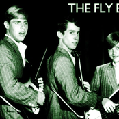 the fly-bi-nites