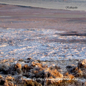 A Tribute To Oily Furnace Where Devils Lurk