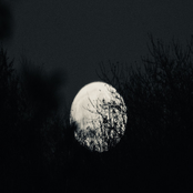 Dibe İniyorum (Demo)