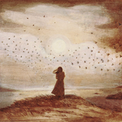 Where The Land Meets Sky