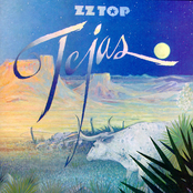 Enjoy And Get It On by Zz Top