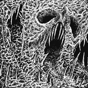 Incantations For The Arcane Hermit
