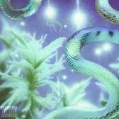 Slime Stories, Vol. 1