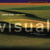 Visual: an ambient experience