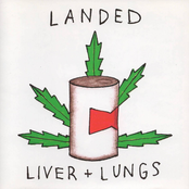 Liver + Lungs