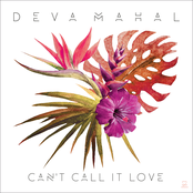 Deva Mahal: Can't Call It Love