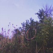 Some Kind of Distortion