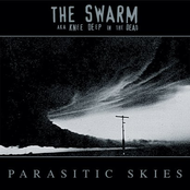 God's Little Acre by The Swarm