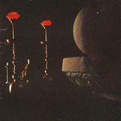 Theme for Ascension and Eternal Love