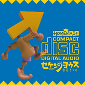 Appearance of Society 2011