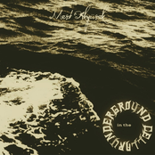 In The Underground Cellar