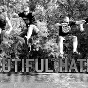 Beautiful Hatred