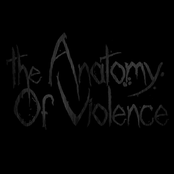 The Anatomy Of Violence