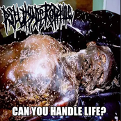 Can You Handle Life?