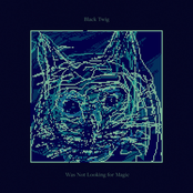 Was Not Looking for Magic