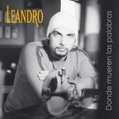 Donde Mueren Las Palabras