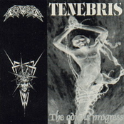 My Dying Bride by Tenebris