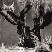 In the Circle of Steel Shadows