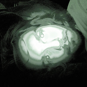 Madness To My Method