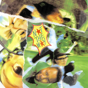 St. Panther: Not The Way