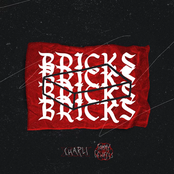 Bricks