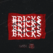 Tommy Genesis: Bricks