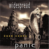 Can't Find My Way Home by Widespread Panic