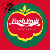 Fresh Fruit Cocktail #2