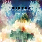 Silver Lining by Mimosa