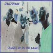 split-shade