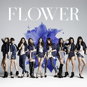 Are You Ready? by Flower