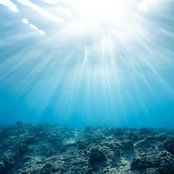 Gentle Whales of the Deep (80-88 Hz)