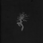 Thunder May Have Ruined the Moment